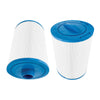 Endless Pools® Swim Spa Filters - Box of 2 Filters #77728